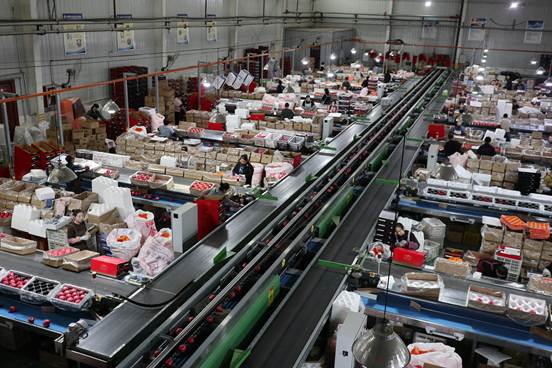 eed465285cfb1271de828f7f8e67995 eed465285cfb1271de828f7f8e67995